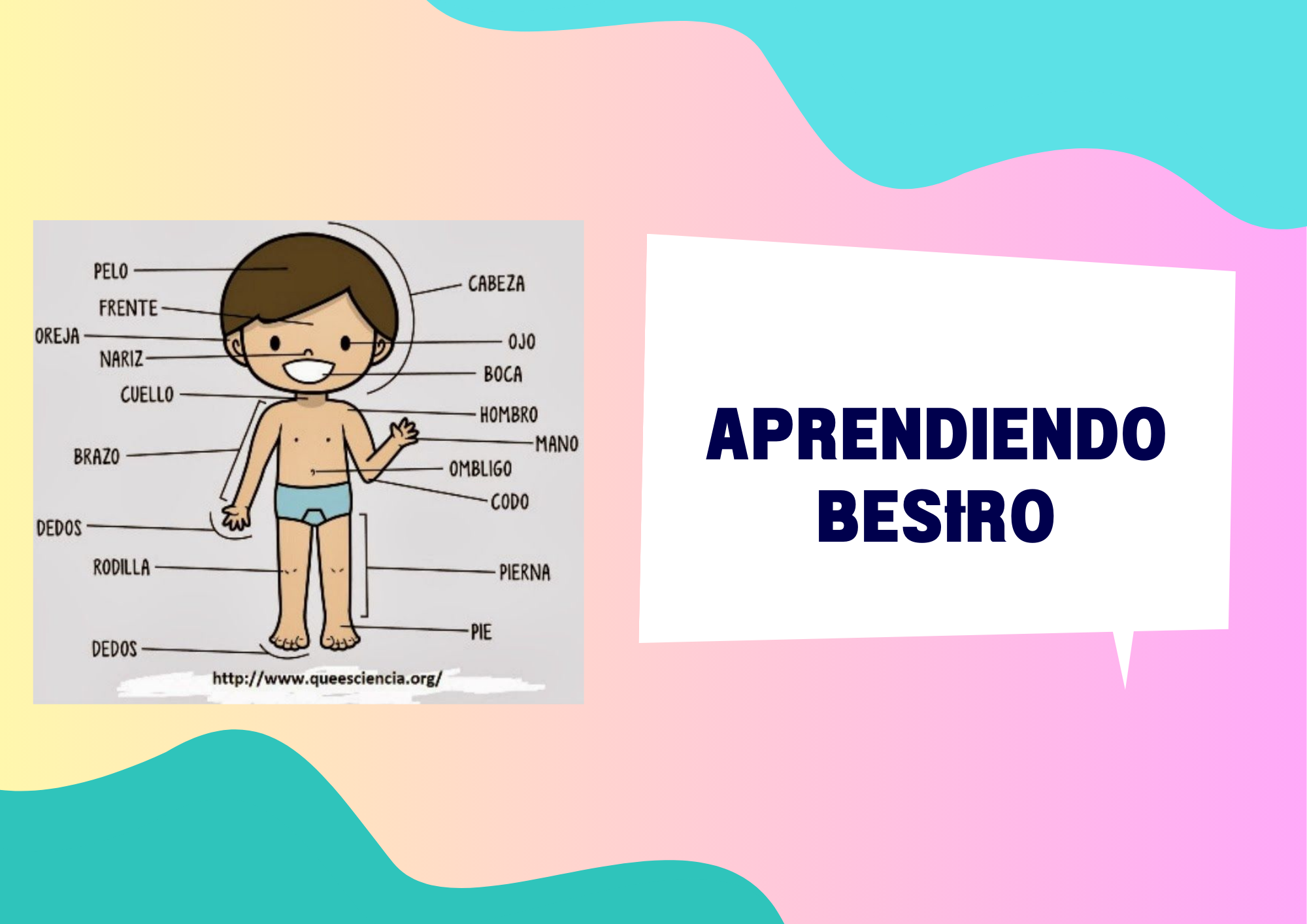 Aprendiendo Besiro